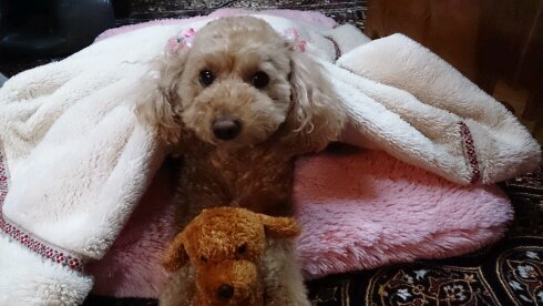 shoko0615fm26's profile picture. 