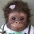 JJMBrotonel's profile image