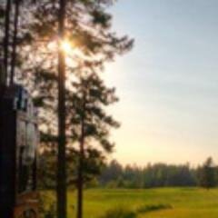 PineHillsTurf's profile picture. Pine Hills Golf Club Superintendent. Leafs supporter (regrets).