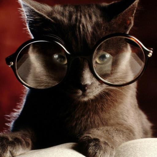 ainarsinuta's profile picture. 