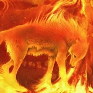 Ember939's profile picture. I am a Wolf with a Flaming red pelt with purple eyes, I live in Nightclan after they adopted me into the clan. I am alone and am looking to for a mate.