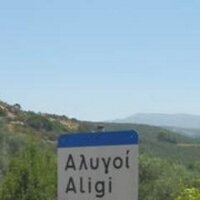 aligi pontani (@aligip) 's Twitter Profile