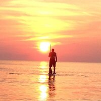 HighPointe#423 (@highpointe423) 's Twitter Profile