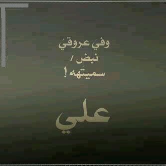 AlkaadiM's profile picture. 