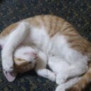 窓際係長 (@00001472) Twitter