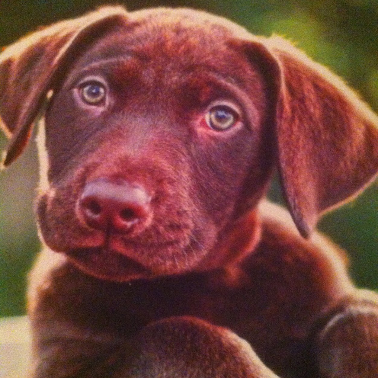 PM65353347's profile picture. 