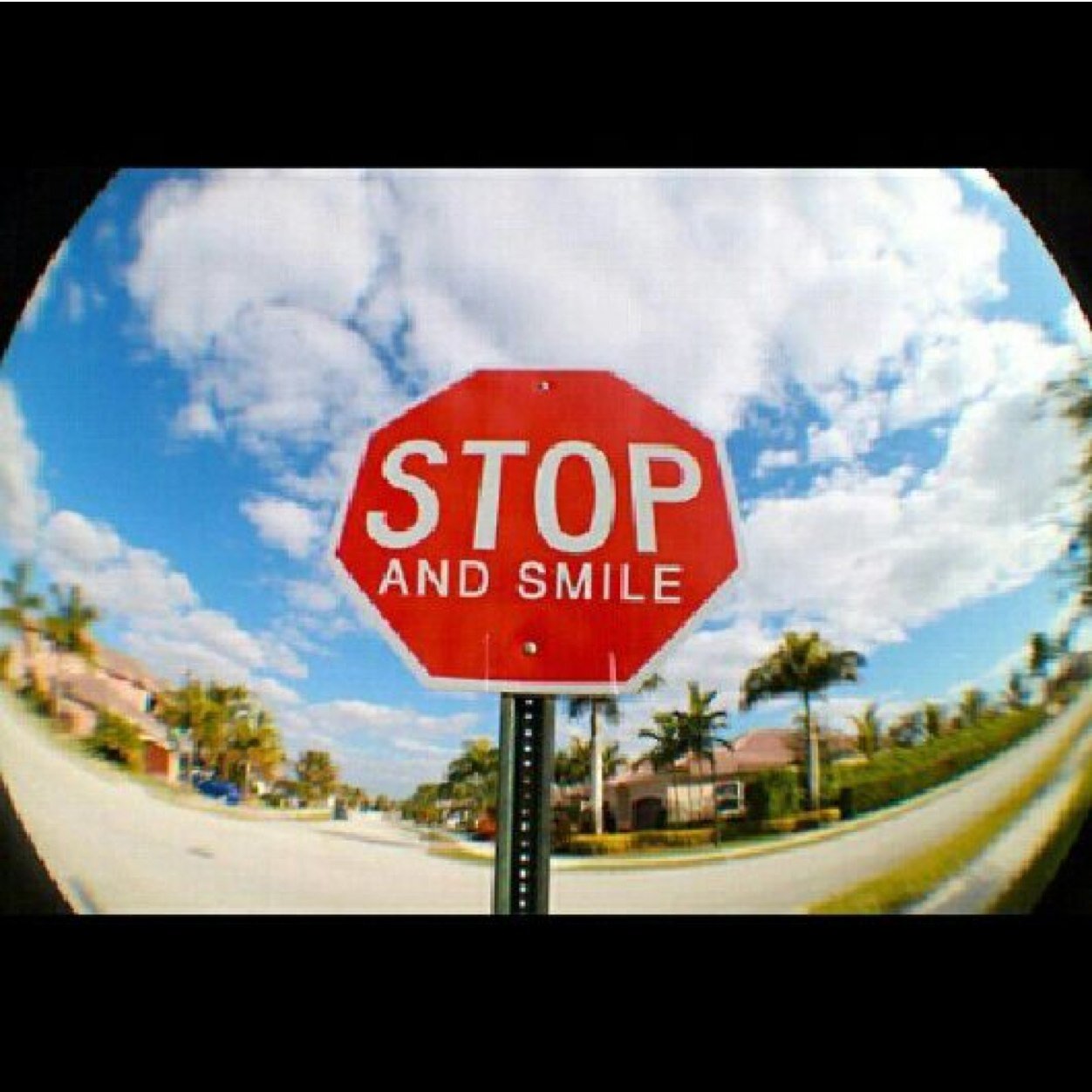 Tornadofc's profile picture. 