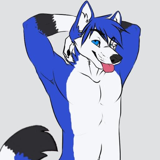 My name is Jc husky i am a uk furry.i am a furry video and picture photograph .