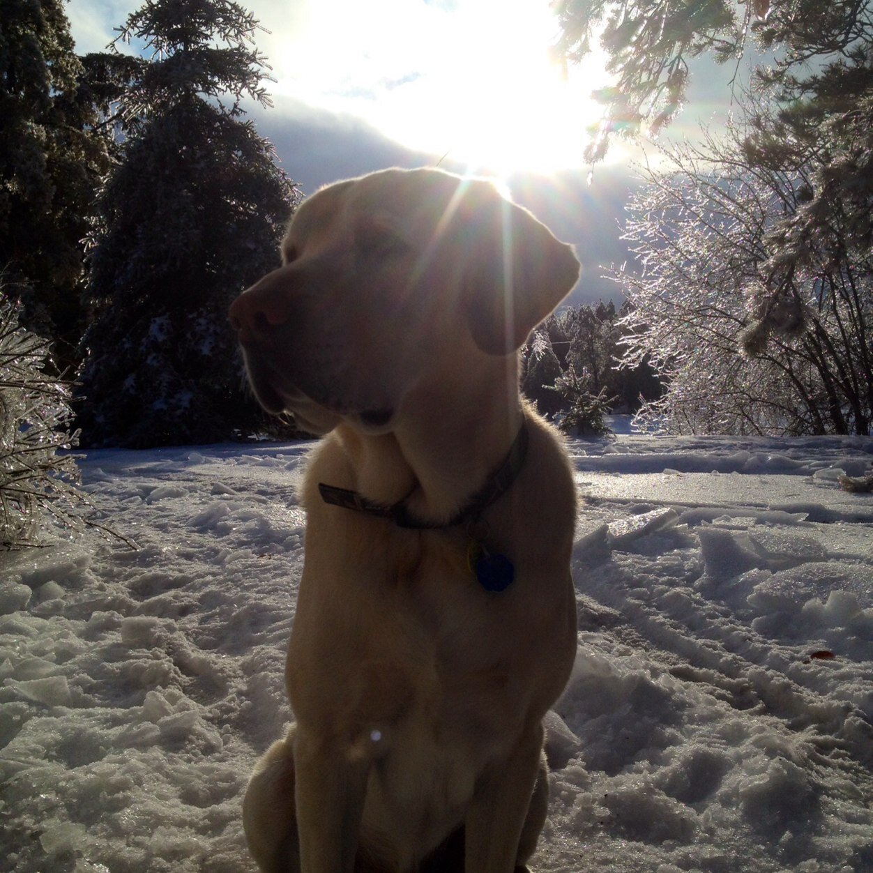 yan_toronto's profile picture. Restauranteur @thecarbonbar and Shoe Addict @LodingTO