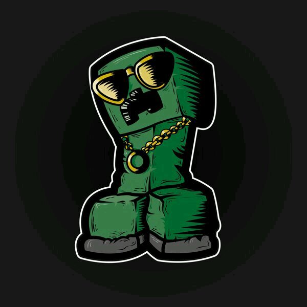 je suis :dofusien,minecraftien,steamien et raden lol