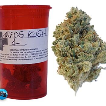 We are an official page that give information on different cannibus strains from Indica - Sativa & Hybrids!