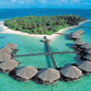 Welcome to Acting Island, full of Actors and Youtubers! DM/@ to join. Taken roles in favourites. Love, drama? Who knows!  Owners - Meghan Ory and Zoe Sugg.