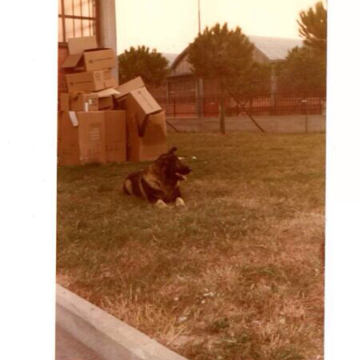 branchetti7's profile picture. 