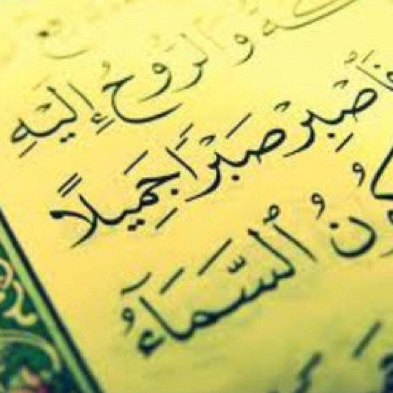 خطابه لأهل نجد ،لدي خبره جيده وأعرف الجاد واللي مو جاد ، واللي لعاب بلووك على طول..واسأل الله التوفيق والستر للجميع .