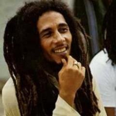 pecinta musik reggae
