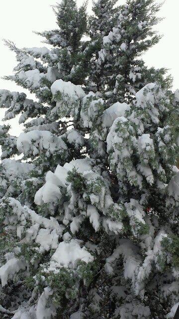 666Boudy's profile picture. 