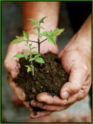 href=http://t.co/nWbMo5Pt45 Fertilizer Reviews gives accurate information about which fertilizer are safer to use.