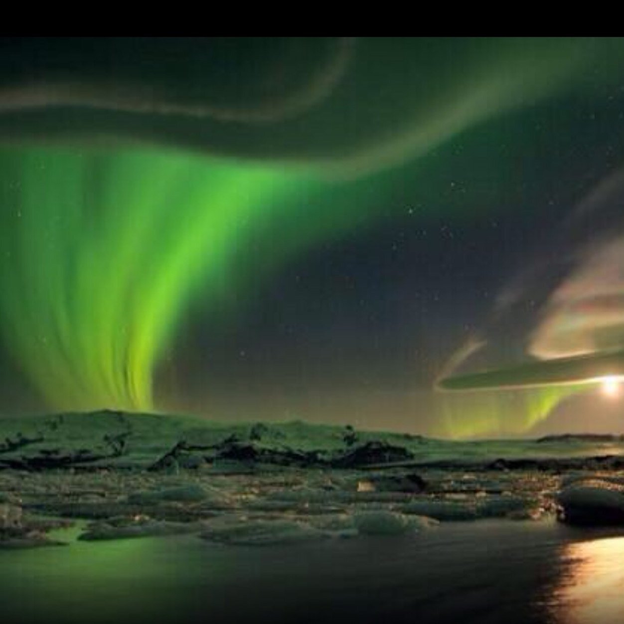 aurorablanch's profile picture. 