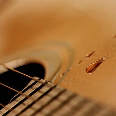 Singer/songwriter. Country music. Cats. ~When you're lucky enough to be different, don't ever change.~ -Taylor Swift