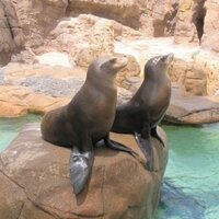 MR LOFT (@mrloft) 's Twitter Profile