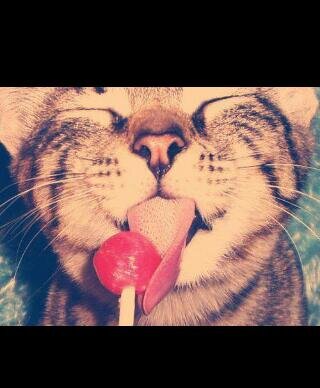 EPicGameer's profile picture. 