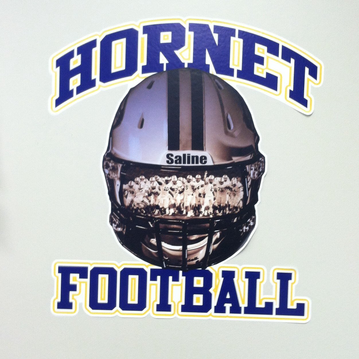 Hornet Baseball / Basketball / Football # 15