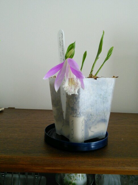 MarchmentMargo's profile picture. 