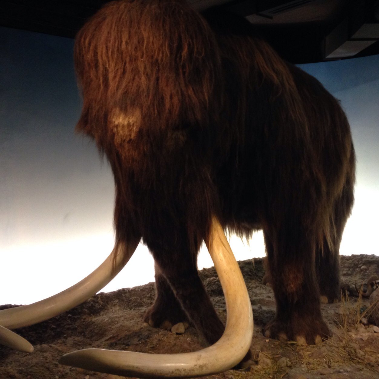 MortenWagner79's profile picture. 