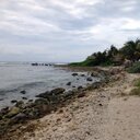 Helene Warren-Cutler - @afhdiq9 - Twitter