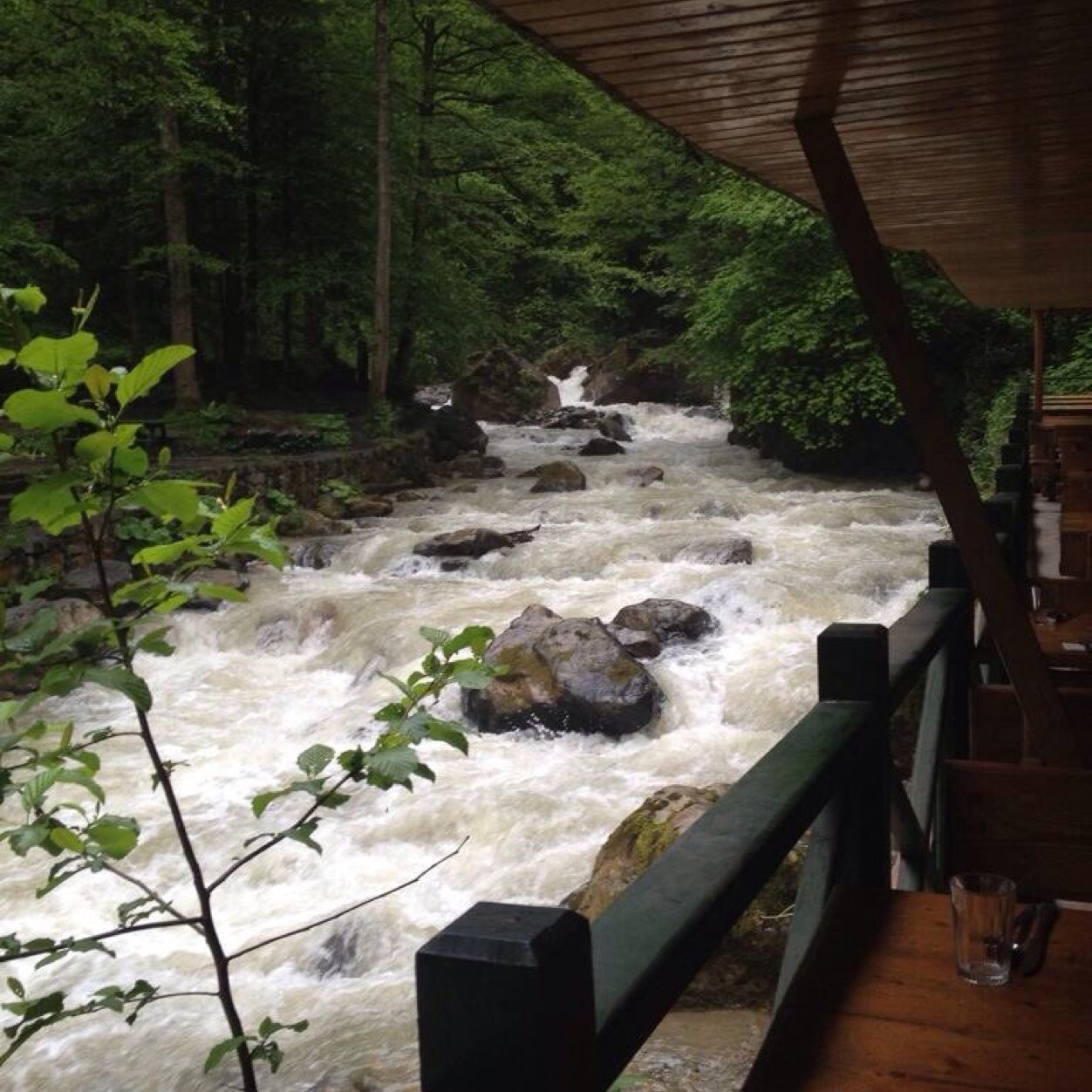 fms8202's profile picture. 