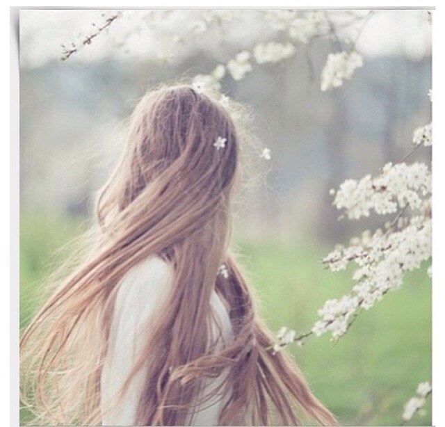 Tofee9M's profile picture. 