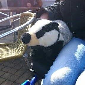 A discarded, second-hand, stuffed toy badger won in a raffle. A voice for those in need, in danger or forgotten.