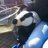Raffles_Badger's profile image