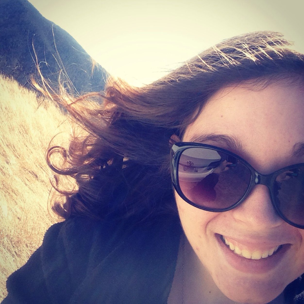 A blogger, a quoter, and sometimes a noter -- Amber is currently studing history and english.