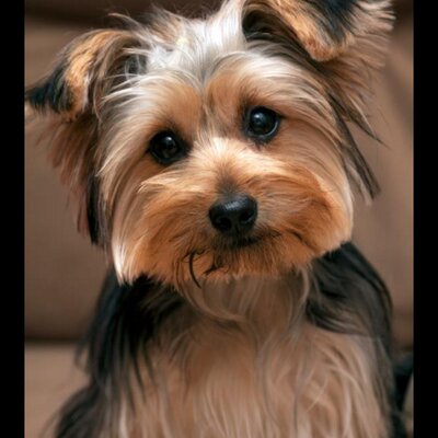 maricarmen766's profile image