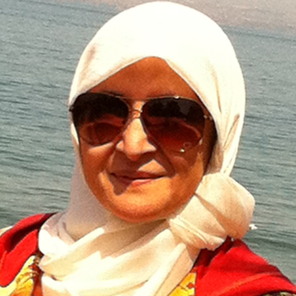 استاذة سابقة/ كلية اللغات والترجمة، كاتبة قصص أطفال ومصورة فوتوغرافية. Retired lecturer, College of Lang.&Trans., children story writer, photographer, SCBWI