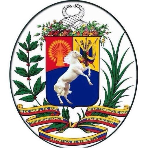 Técnico superior en Mercadeo, Licenciado en Informática, Msc. en Educación, profesor universitario,  empresario libre, 100% con la democracia...