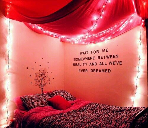 skyway_official's profile picture. free follow, plz follow @wey_niall_hey