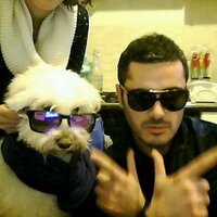 stefano quaranta (@steffo40) 's Twitter Profile