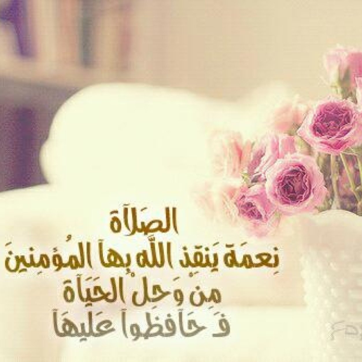بعزيمتي أصل إلى قمّتي