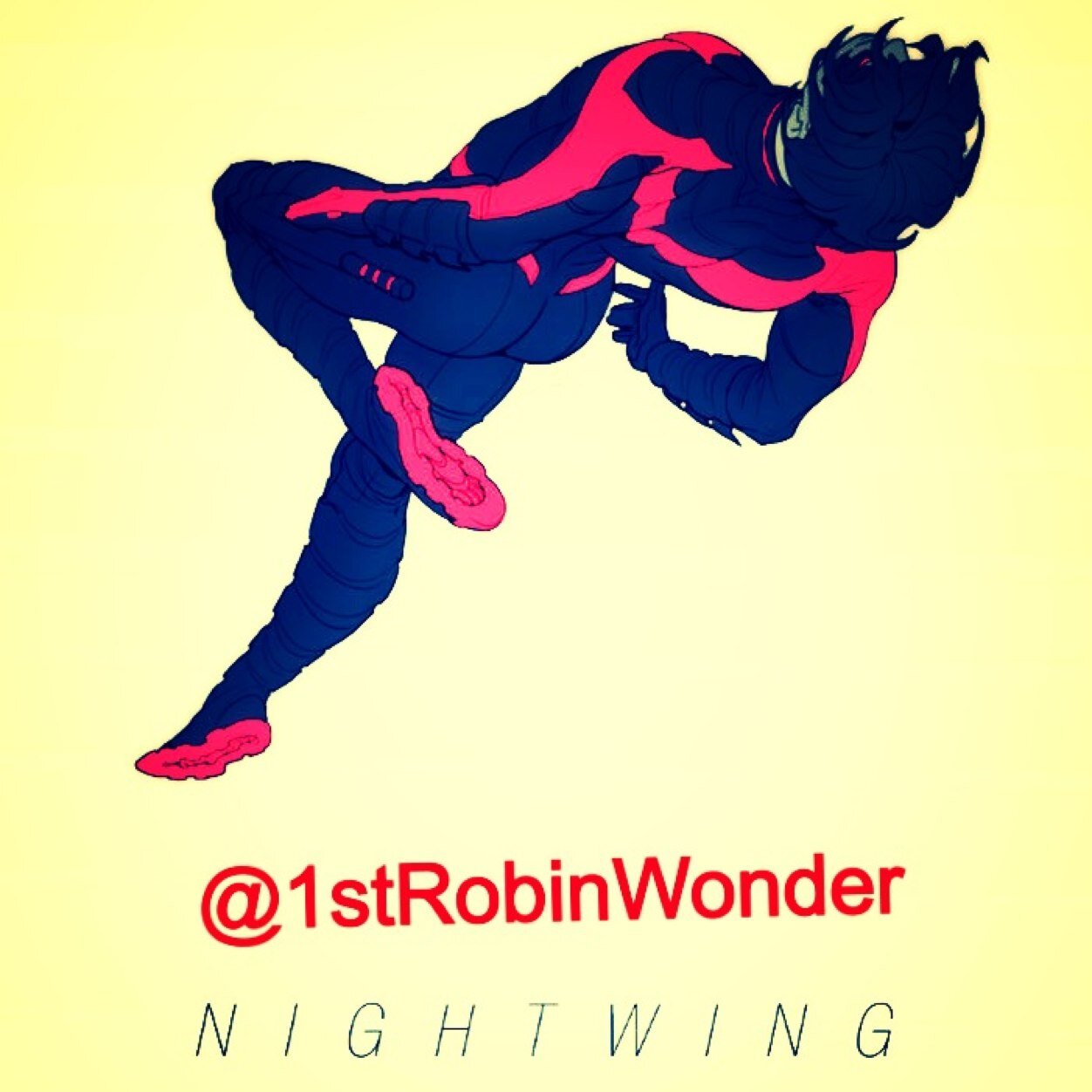 I'm Nightwing. I was the first Robin before I left the Bat for Chicago. Now days I roll solo. #DCRP #New52Based