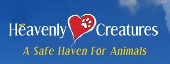 Heavenly Creatures is a non-profit, no-kill animal rescue organization.

St. John's, NL

heavenlycreaturesnl@gmail.com