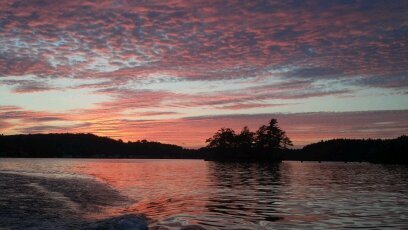 ShannonGoddard6's profile picture. 