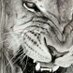 Javier (@javins1) Twitter profile photo