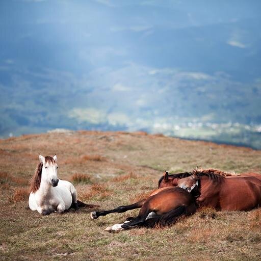 montana82311230's profile picture. best image for all myfreinds http://t.co/chLTgAAx0C