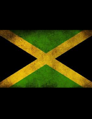 JamaicanChange's profile picture. #JAMAICA can lead world #CHANGE by becoming self sufficent and creating abundance resulting in true freedom to pursue passions. Planting the seed! #Inception