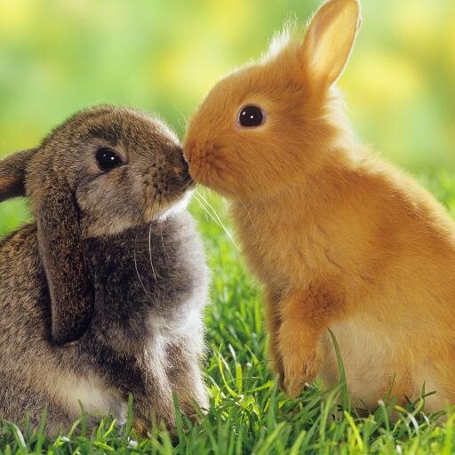 DenninWheat's profile picture. 