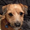 CaroG - @CarolineGage1 - Twitter