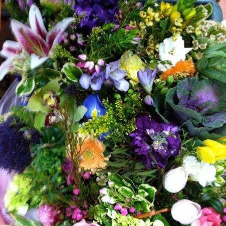 crocushillstdio's profile picture. finding flowers and inspiration near and far