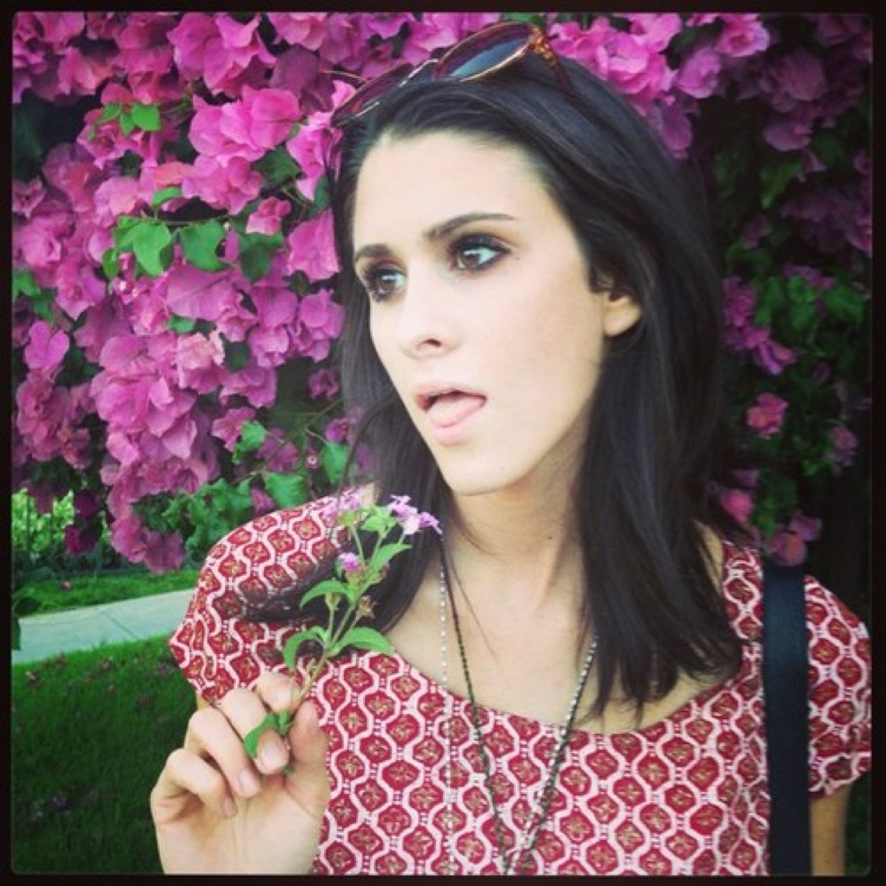 furland123's profile picture. This is my backup twitter account so follow me on this one and the oher one!